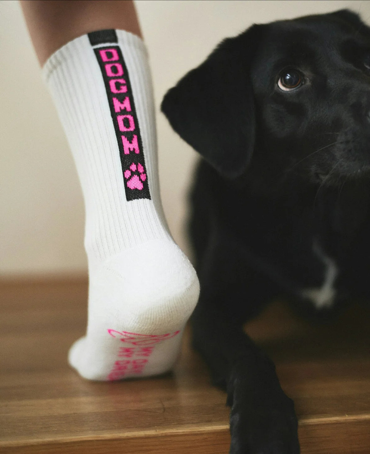 Animal Socks