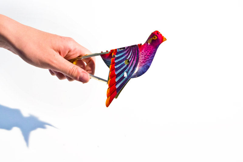 Quitschvogel