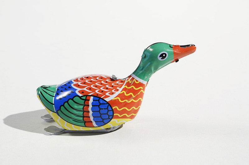Ente "Duckling", rennend