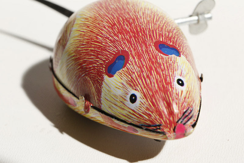 Blechmaus, die mit dem Schwanz wedelt, braun