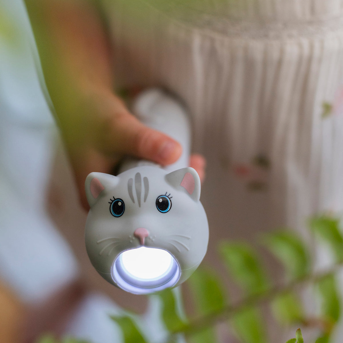 Taschenlampe | Katze