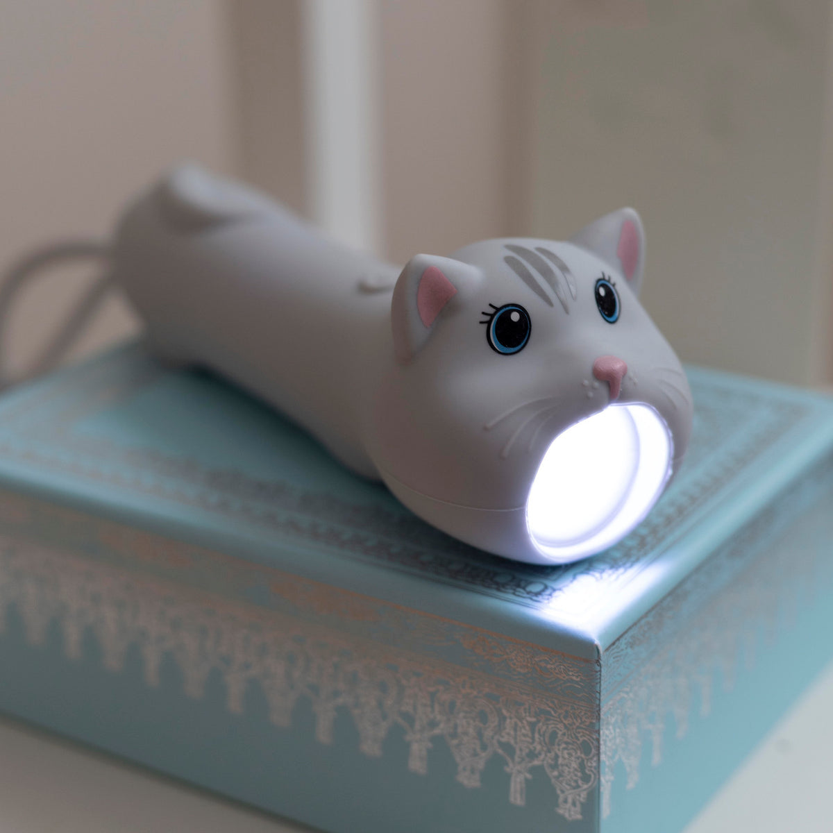 Taschenlampe | Katze