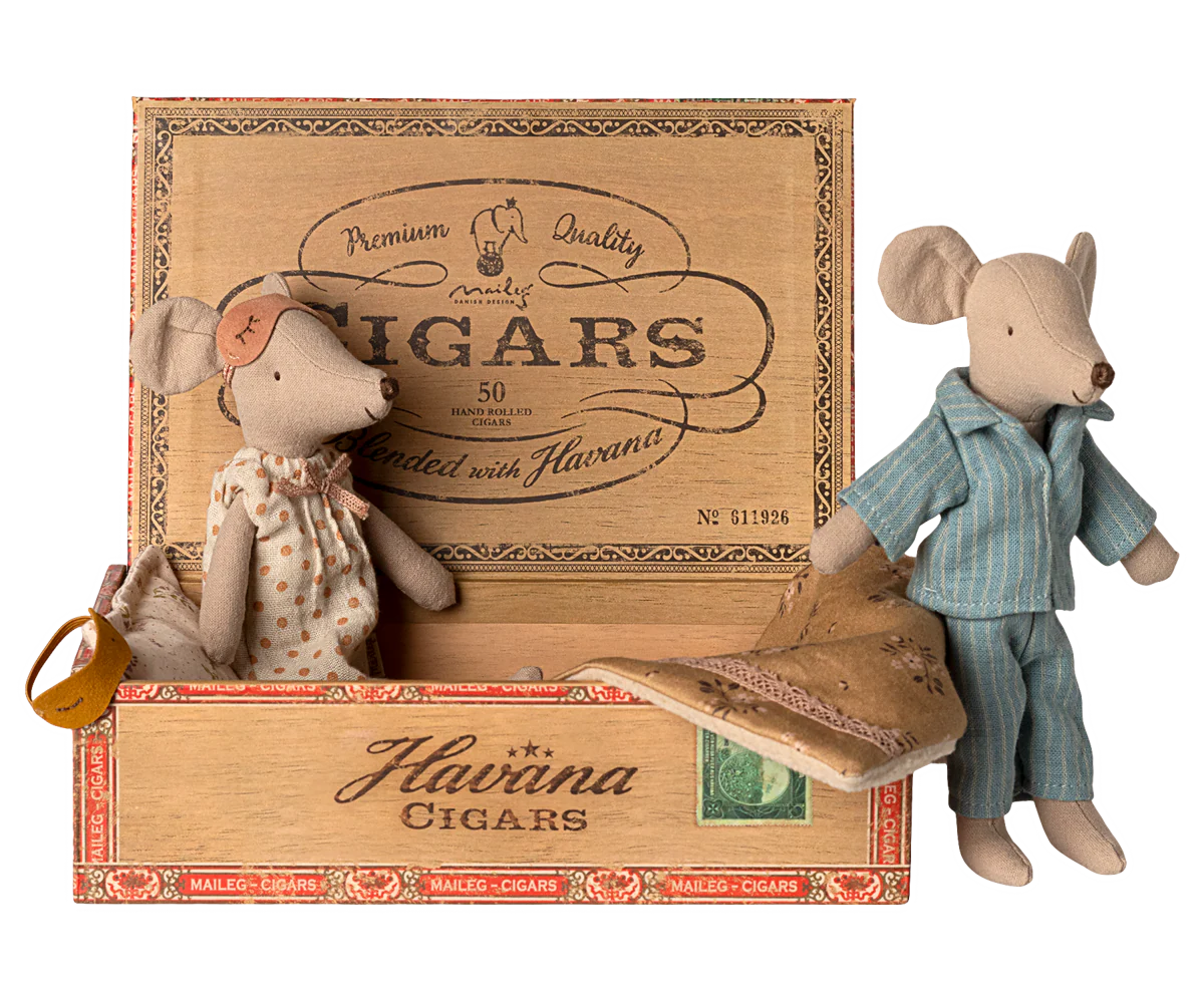 Mama & Papa Mäuse in Zigarrenkiste