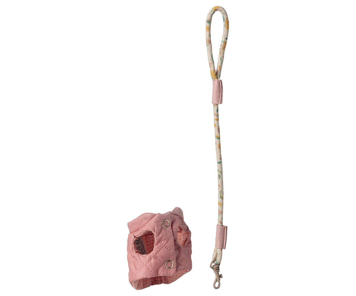 Haustierhalsband und Leine, Rosa