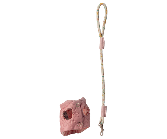 Haustierhalsband und Leine, Rosa
