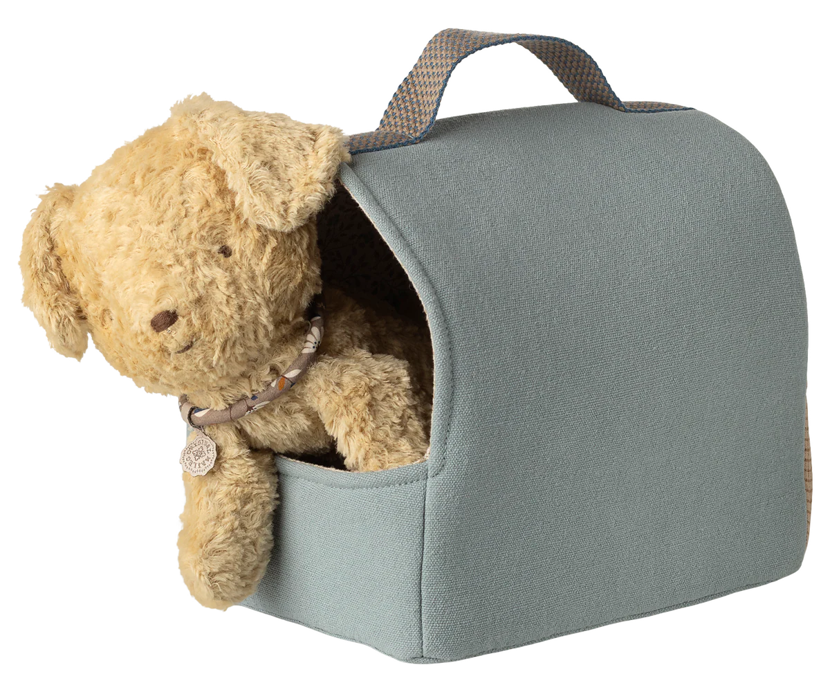 Haustier Transportbox, Klein - Blau