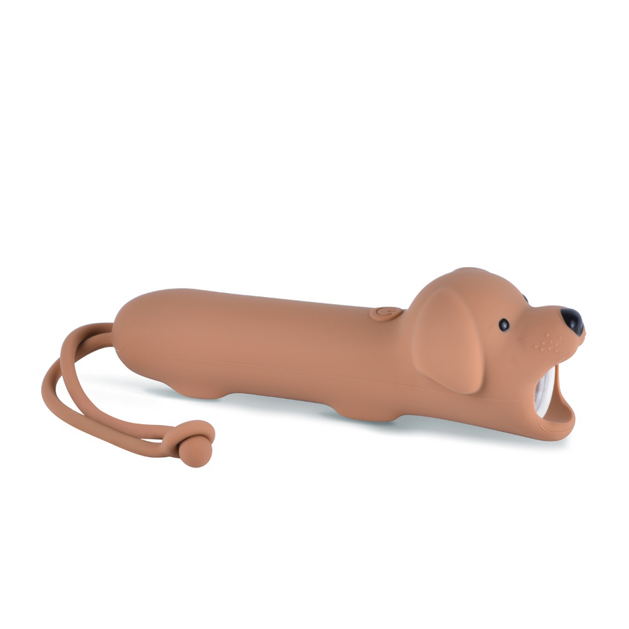 Taschenlampe | Hund