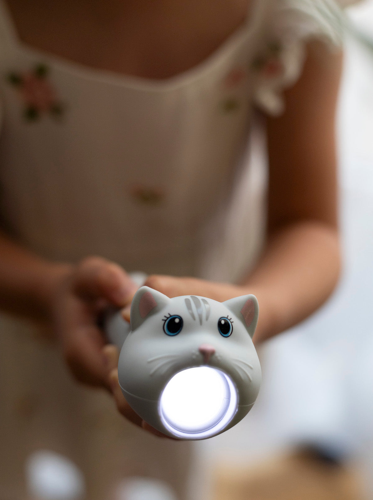 Taschenlampe | Katze