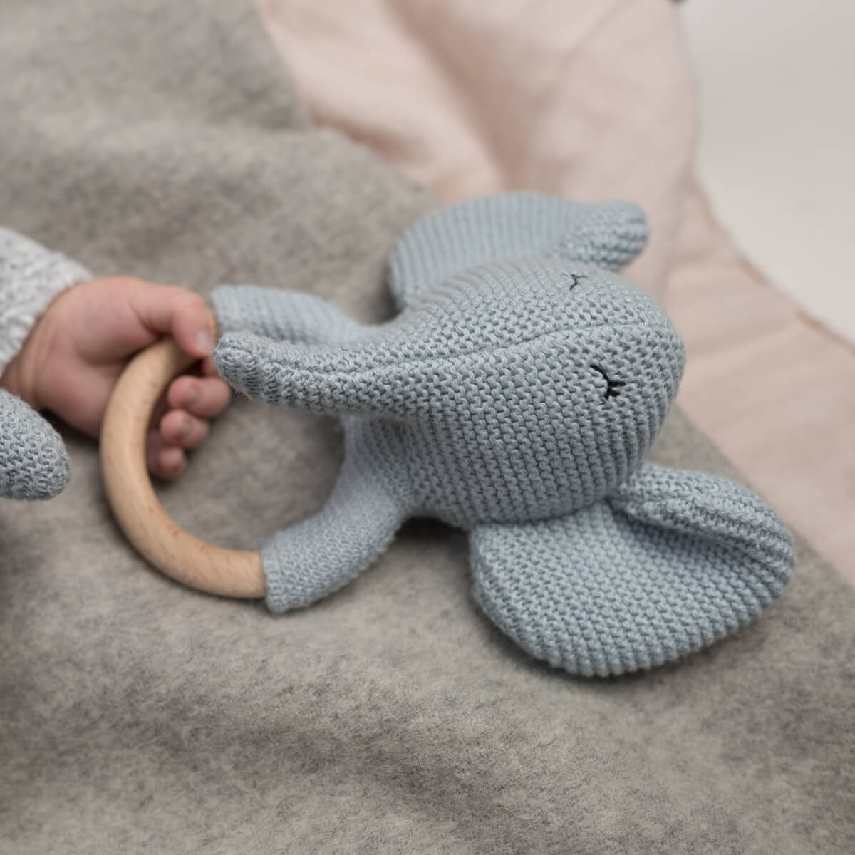 Rassel „Elvy der Elefant“