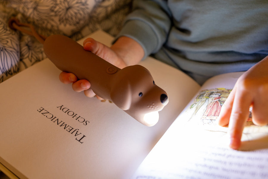 Taschenlampe | Hund