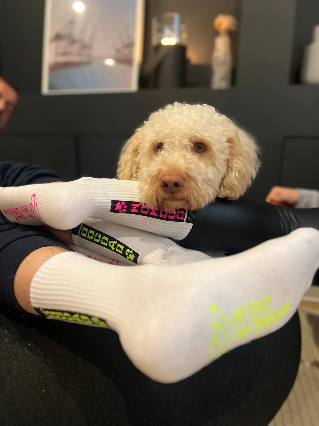 Animal Socks