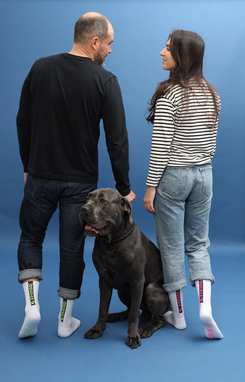 Animal Socks