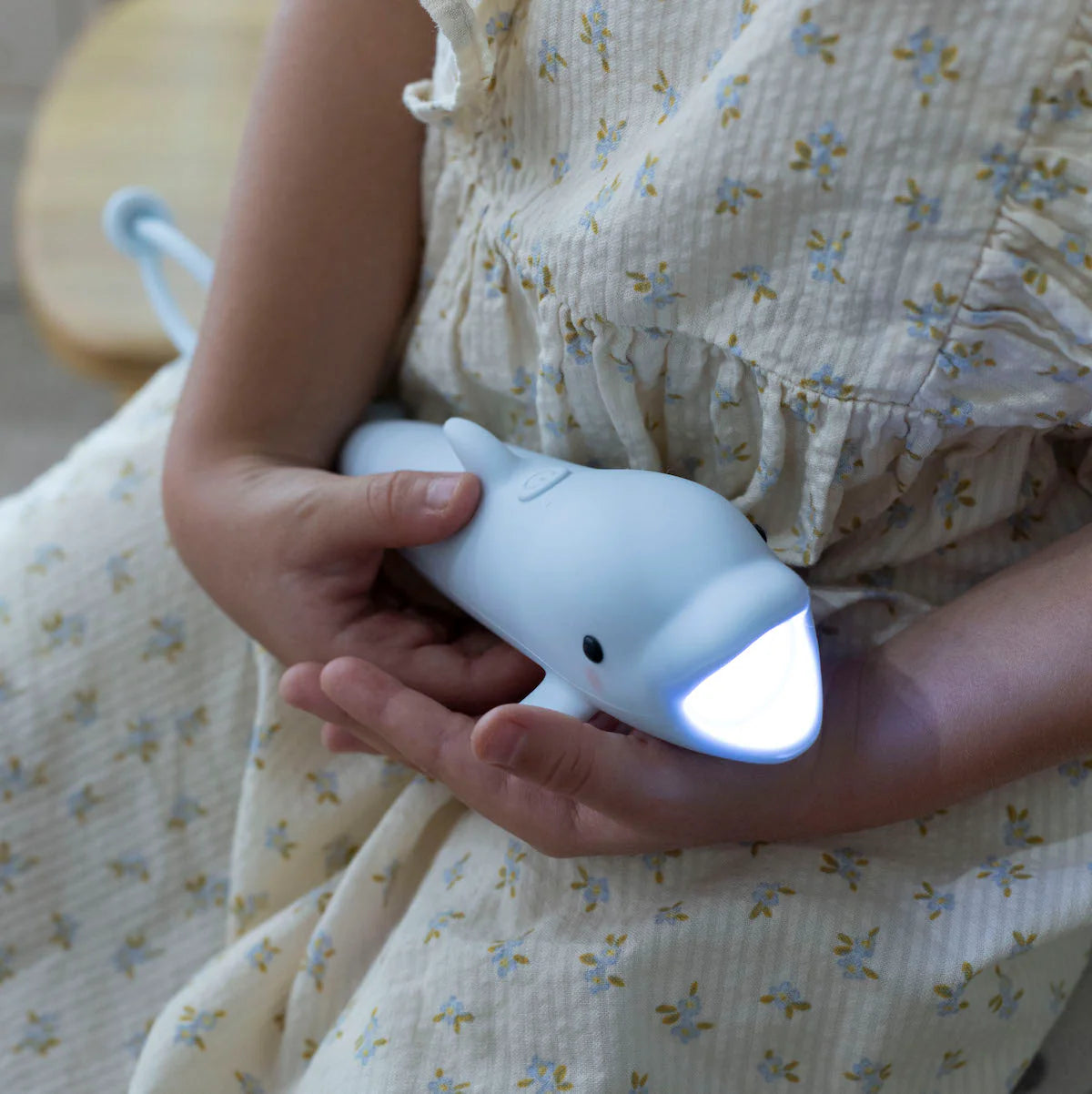 Taschenlampe | Delfin